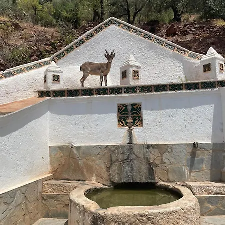 Viva España